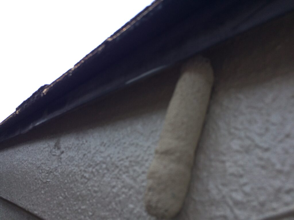 鼻隠し塗装