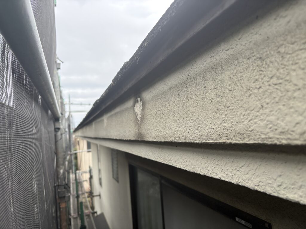 鼻隠し
樋交換